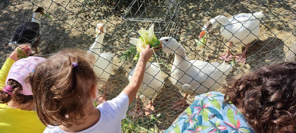 Agriturismo Biofattoria L'Upupa Μονταλτσίνο Εξωτερικό φωτογραφία
