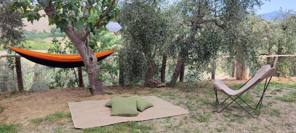 Agriturismo Biofattoria L'Upupa Μονταλτσίνο Εξωτερικό φωτογραφία