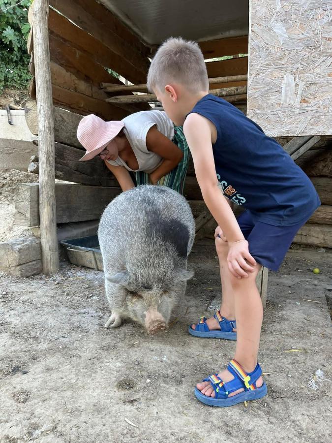 Agriturismo Biofattoria L'Upupa Μονταλτσίνο Εξωτερικό φωτογραφία