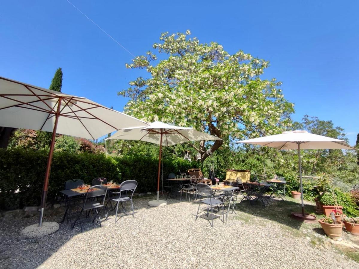 Agriturismo Biofattoria L'Upupa Μονταλτσίνο Εξωτερικό φωτογραφία