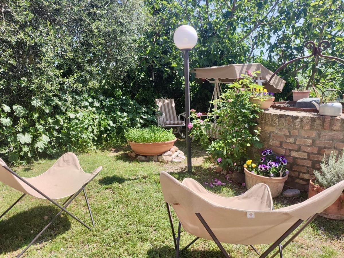 Agriturismo Biofattoria L'Upupa Μονταλτσίνο Εξωτερικό φωτογραφία