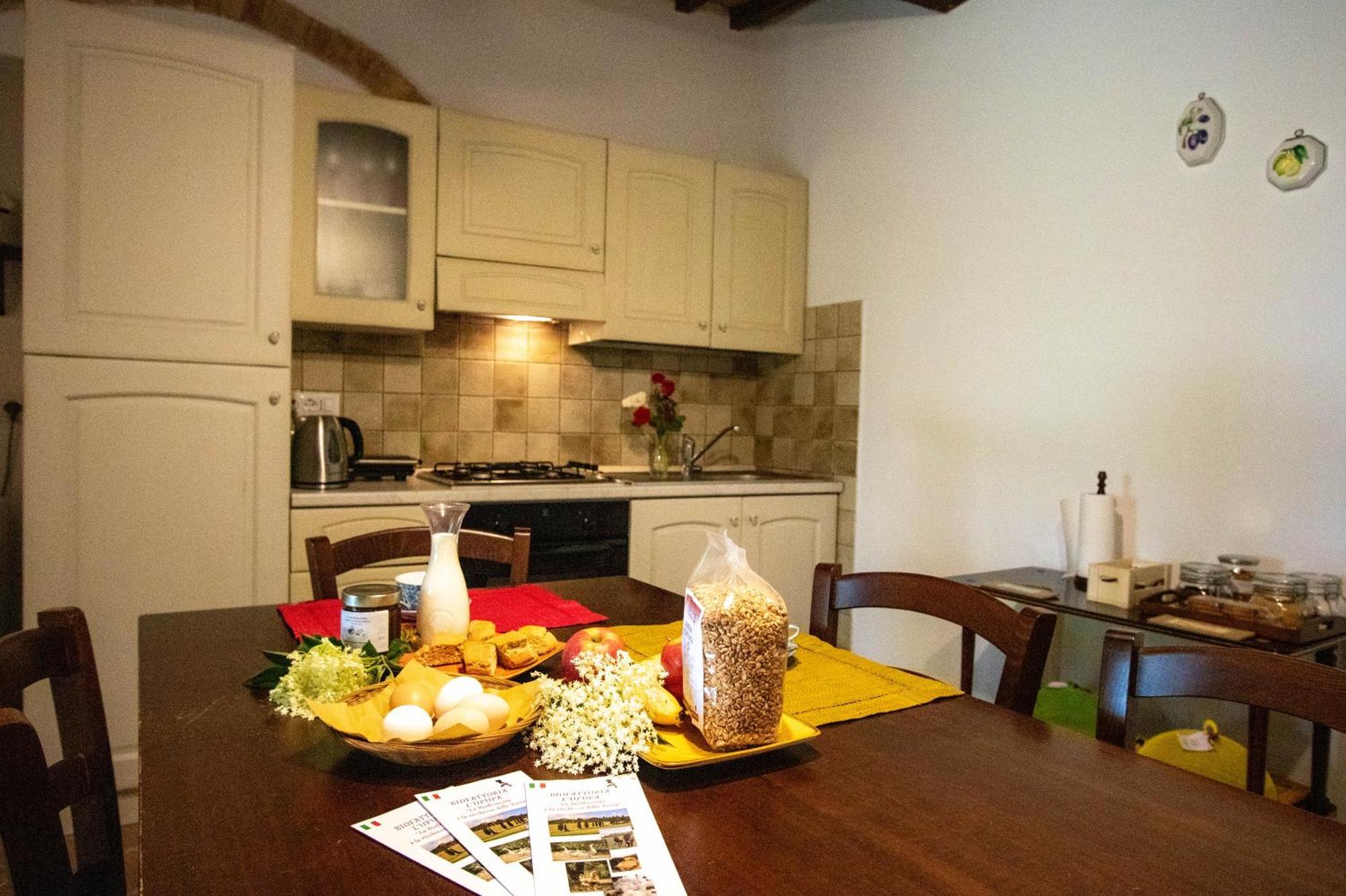 Agriturismo Biofattoria L'Upupa Μονταλτσίνο Εξωτερικό φωτογραφία