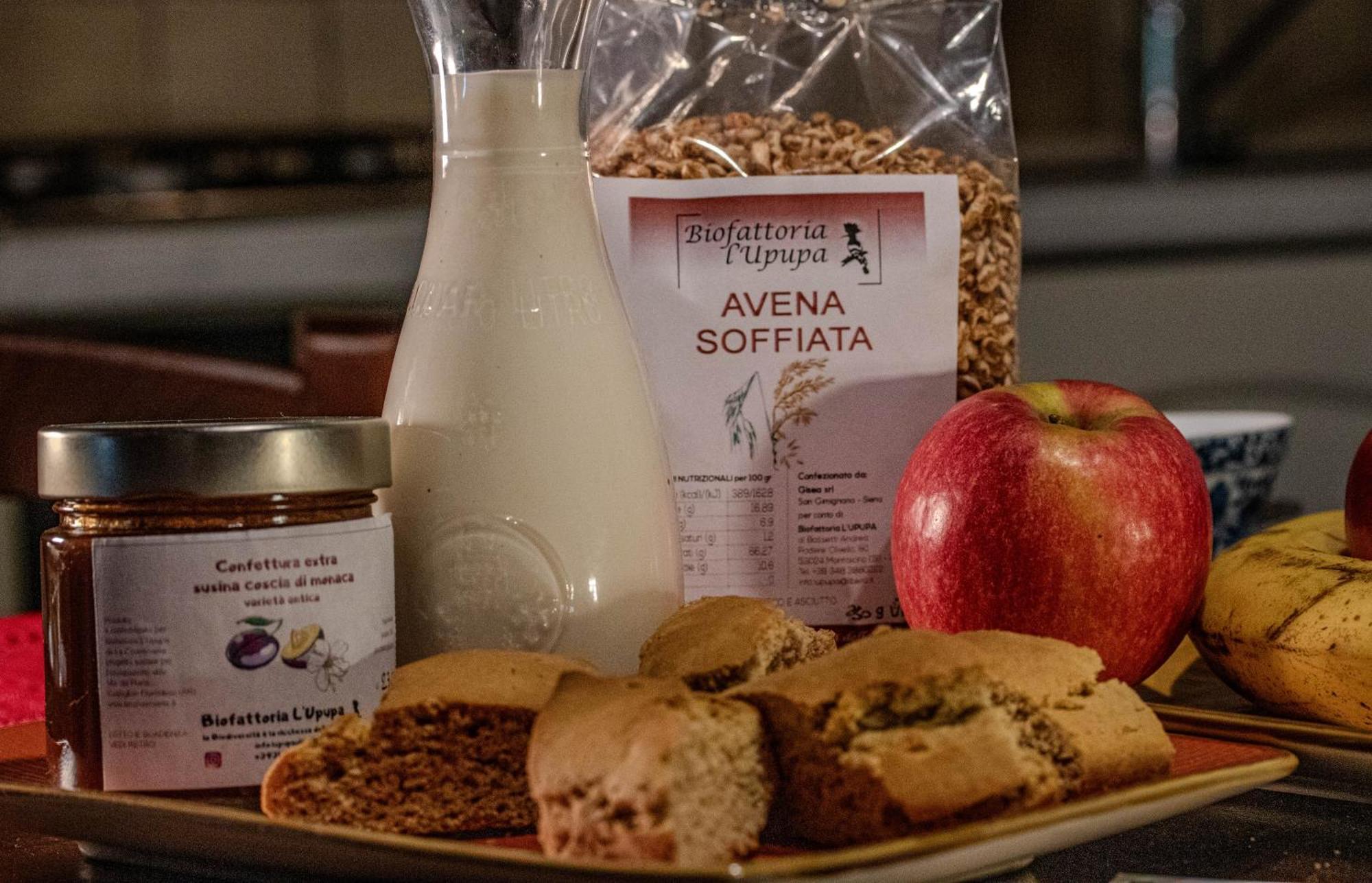 Agriturismo Biofattoria L'Upupa Μονταλτσίνο Εξωτερικό φωτογραφία