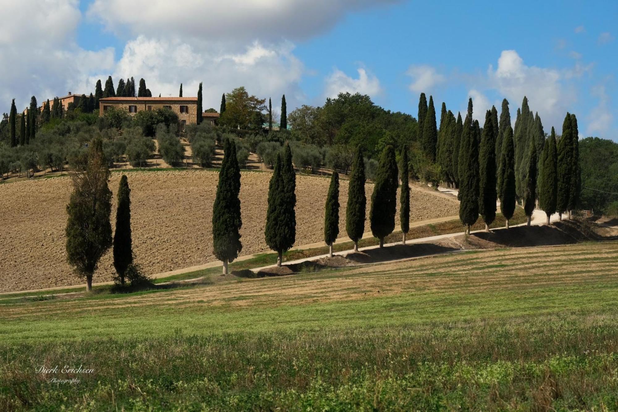 Agriturismo Biofattoria L'Upupa Μονταλτσίνο Εξωτερικό φωτογραφία