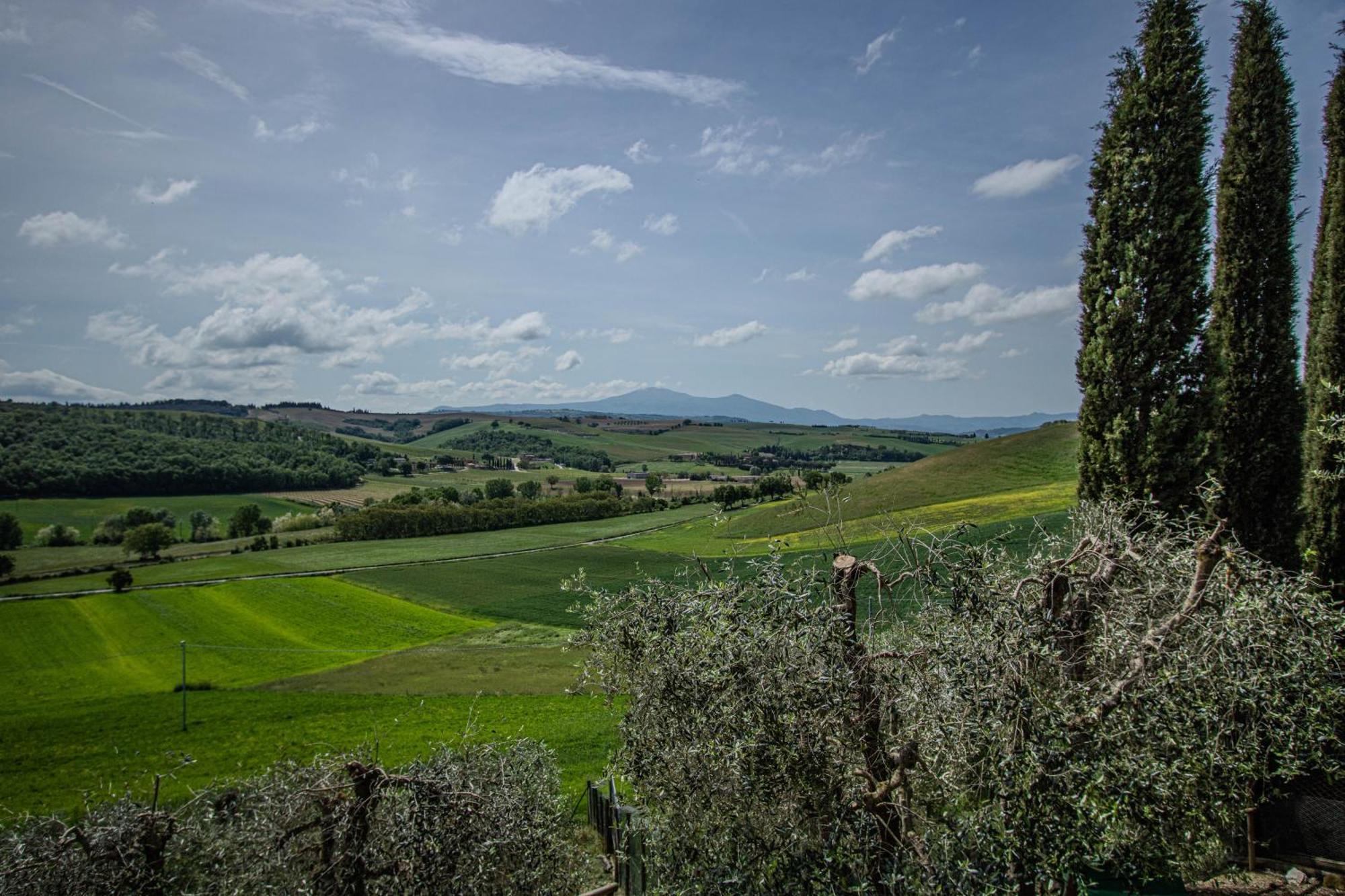 Agriturismo Biofattoria L'Upupa Μονταλτσίνο Εξωτερικό φωτογραφία