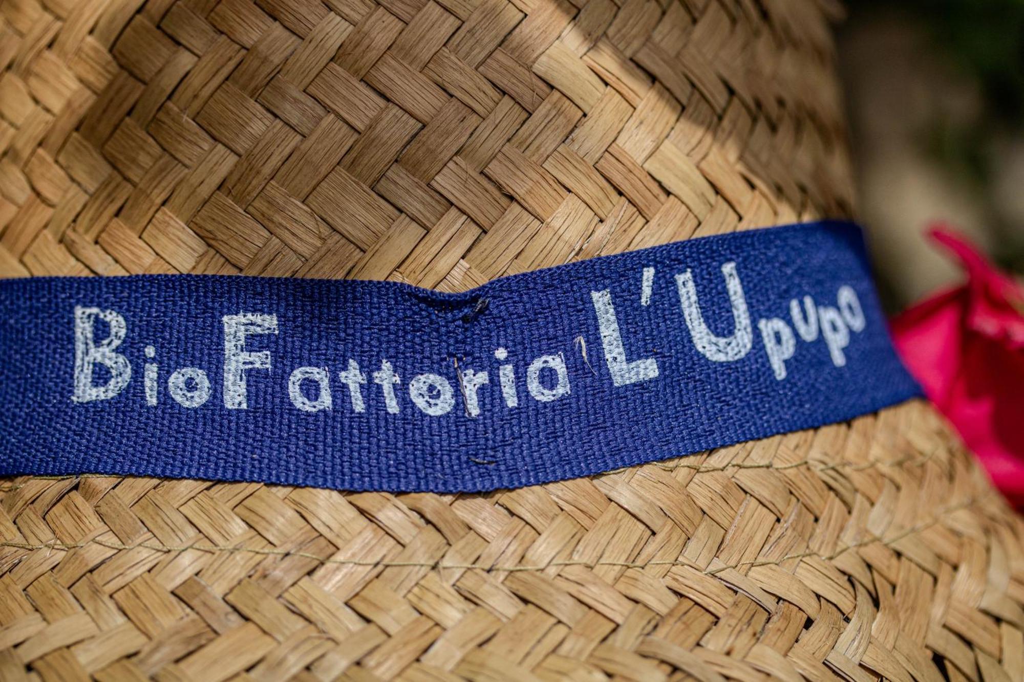 Agriturismo Biofattoria L'Upupa Μονταλτσίνο Εξωτερικό φωτογραφία