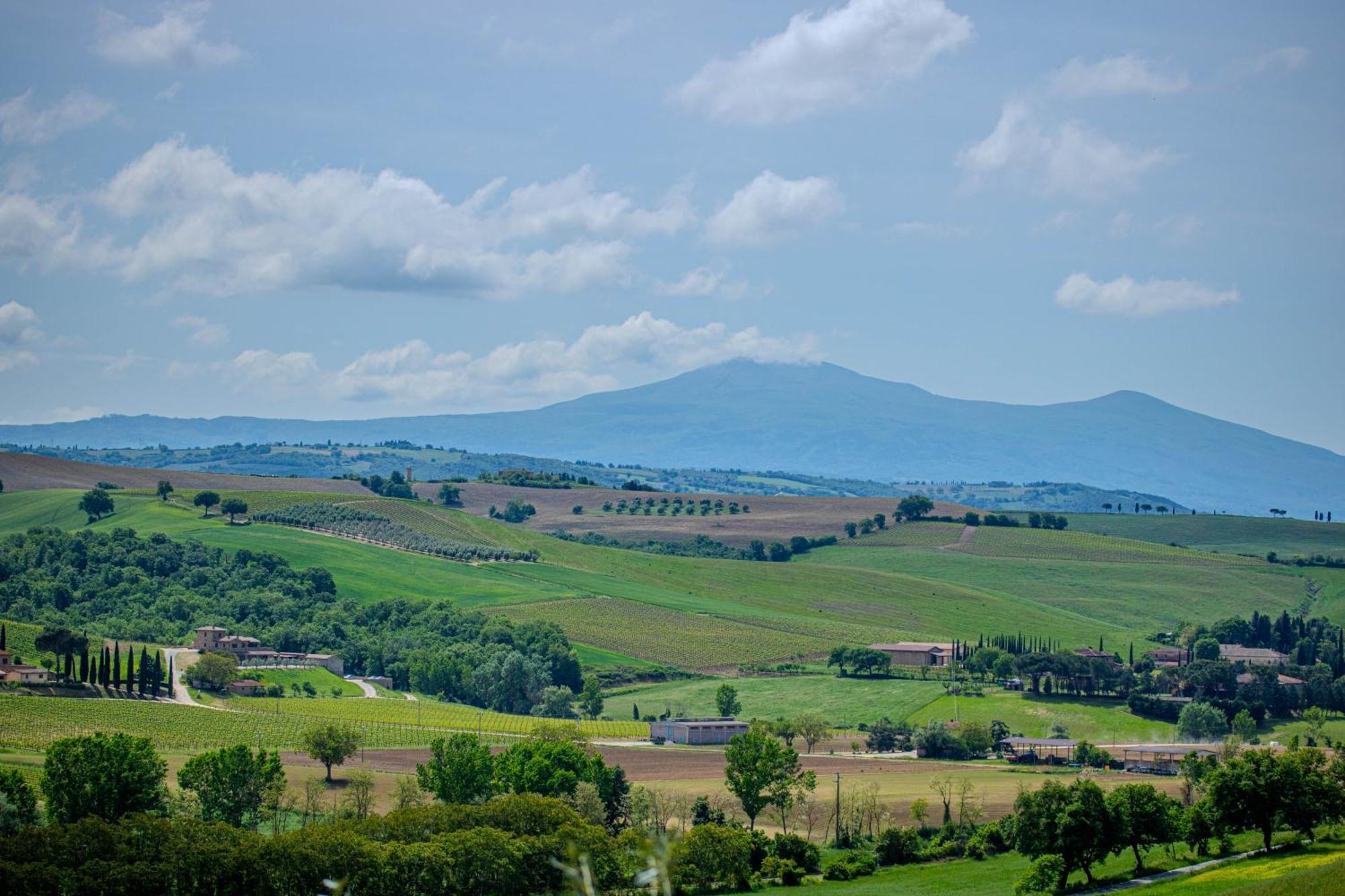 Agriturismo Biofattoria L'Upupa Μονταλτσίνο Εξωτερικό φωτογραφία